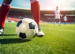 中国人寿财,险前三季为,小微企业提,B体育官网,B,Sports,足球直播,篮球赛事,体育高清,NBA直播