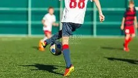 电竞追梦之旅中的激情与温暖