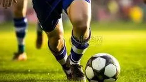 大乐透第25133期新浪彩票专家推荐集锦