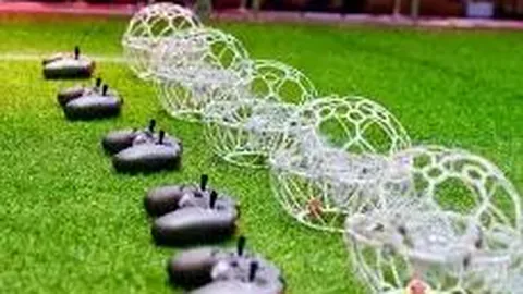 【梦回双色球大奖】2025148期精准预测：独家智能杀号定胆，揭晓昨日喜人战绩！